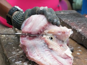 karim_ainouz_photographs2_22