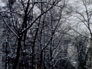 karim_ainouz_sonnenallee_02